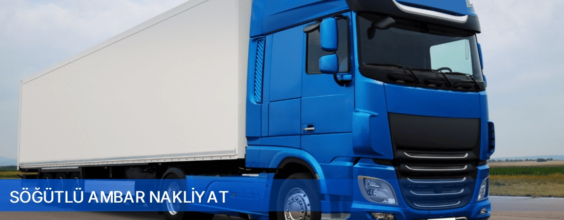 Söğütlü Ambar Nakliyat Söğütlü Ambar Nakliyat